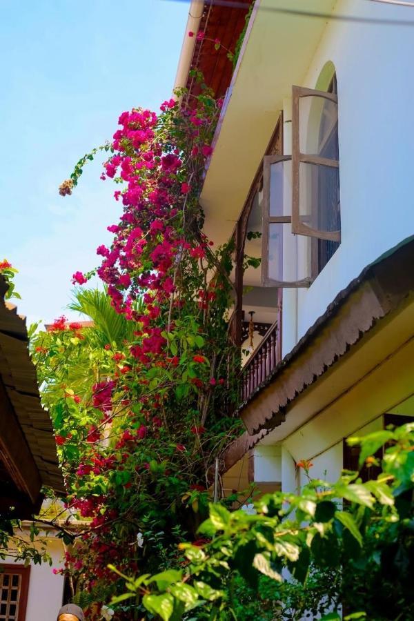 Garden Lodge Занзибар Экстерьер фото